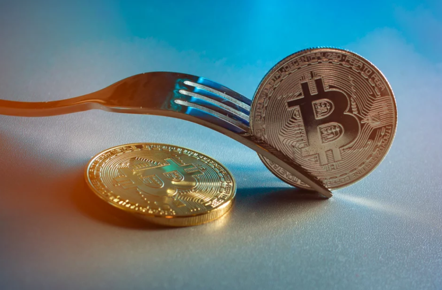 Hard Fork vs Soft Fork Explained